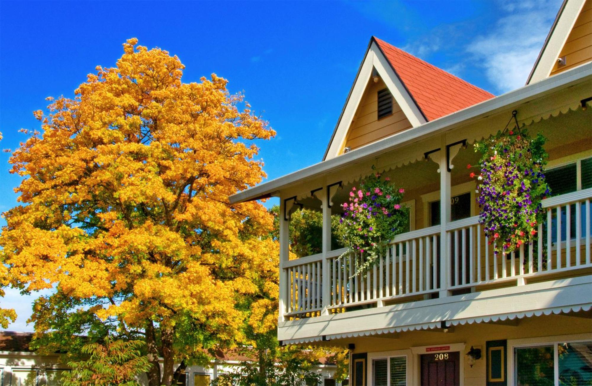Silverton Inn & Suites エクステリア 写真